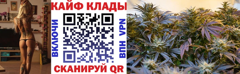 Купить закладку Чадан Бутират А ПВП Гашиш Меф мяу мяу Марихуана