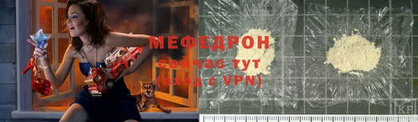 индика Мегион
