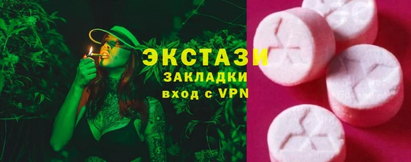 индика Мегион