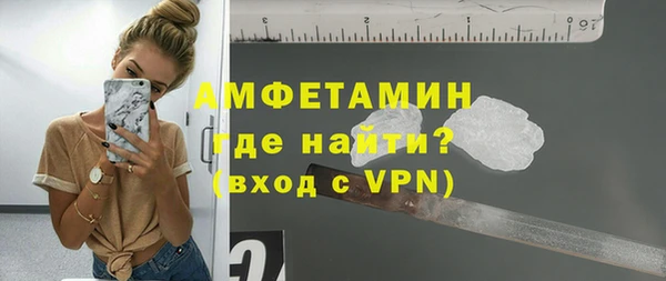 индика Мегион