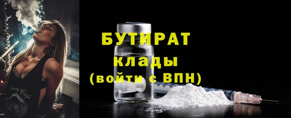 индика Мегион