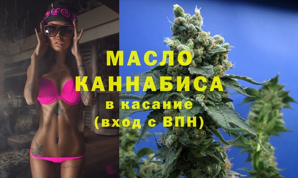 индика Мегион