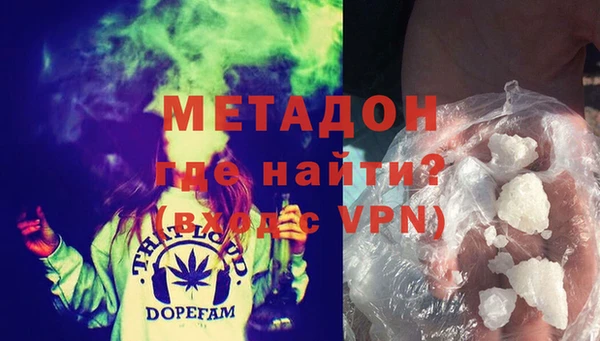 индика Мегион