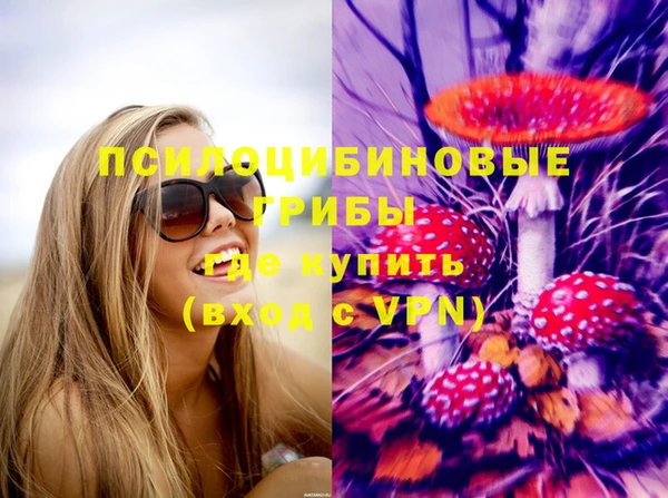 ПСИЛОЦИБИНОВЫЕ ГРИБЫ Медногорск