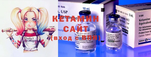индика Мегион