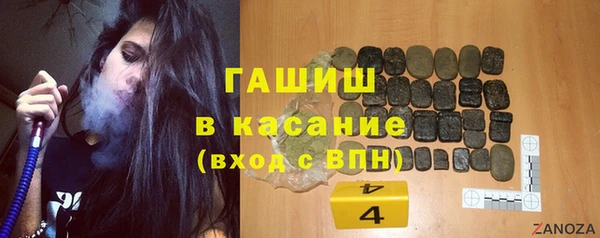 индика Мегион