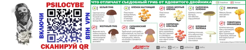 Псилоцибиновые грибы прущие грибы наркотики кракен ТОР Чадан